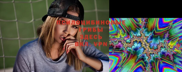 сатива Абдулино