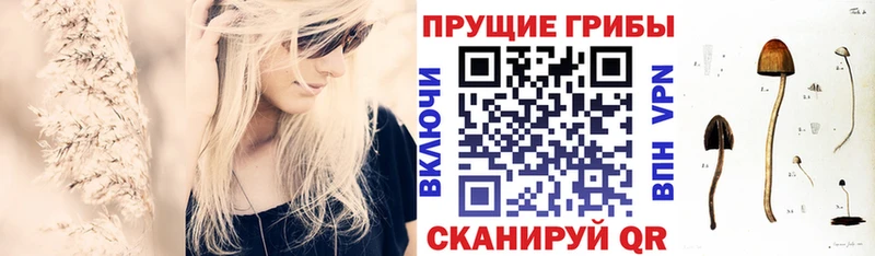 Псилоцибиновые грибы мухоморы Кочубеевское